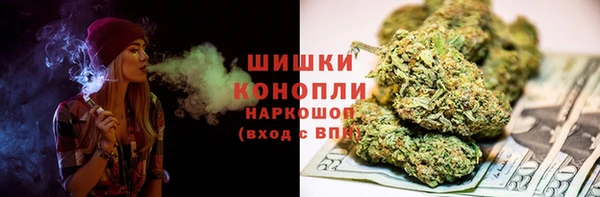 PSILOCYBIN Алзамай