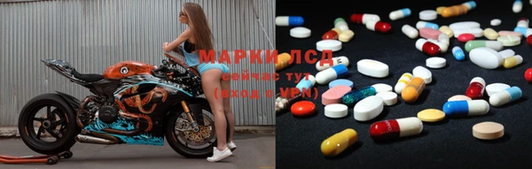 PSILOCYBIN Алзамай