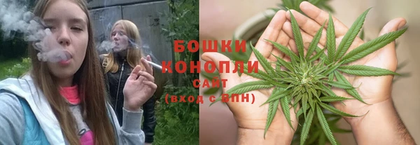 PSILOCYBIN Алзамай