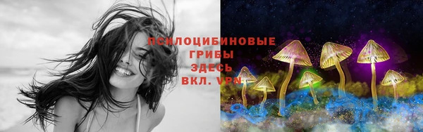 PSILOCYBIN Алексеевка