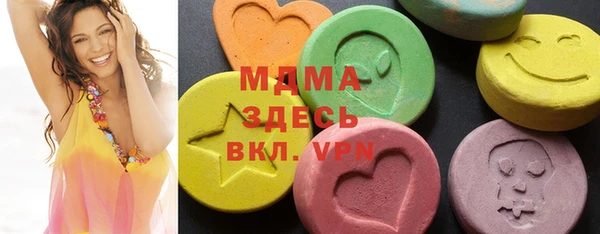 гашик Алексин