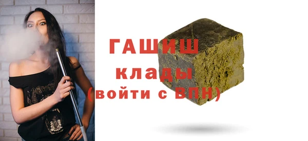 гашик Алексин