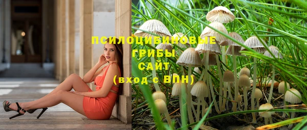 PSILOCYBIN Алексеевка
