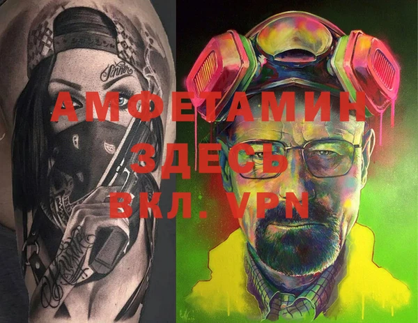 PSILOCYBIN Алзамай
