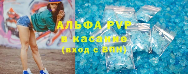гашик Алексин