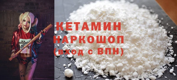гашик Алексин