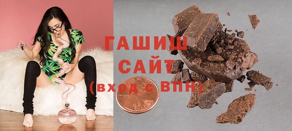 гашик Алексин