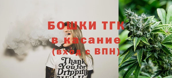гашик Алексин