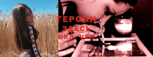 гашик Алексин