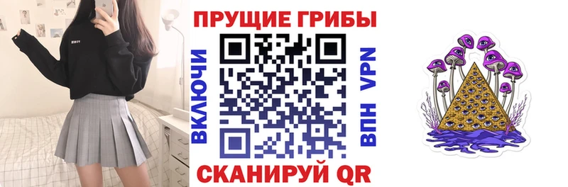 цена   Гдов  Галлюциногенные грибы GOLDEN TEACHER 
