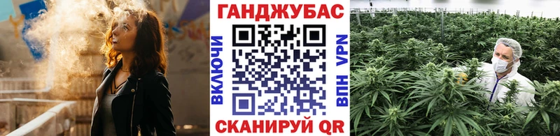 купить наркоту МЕГА вход Каннабис VHQ Гдов